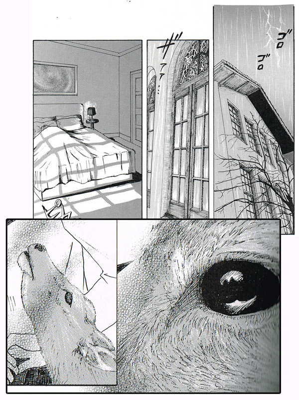 2014_0116窓と鹿