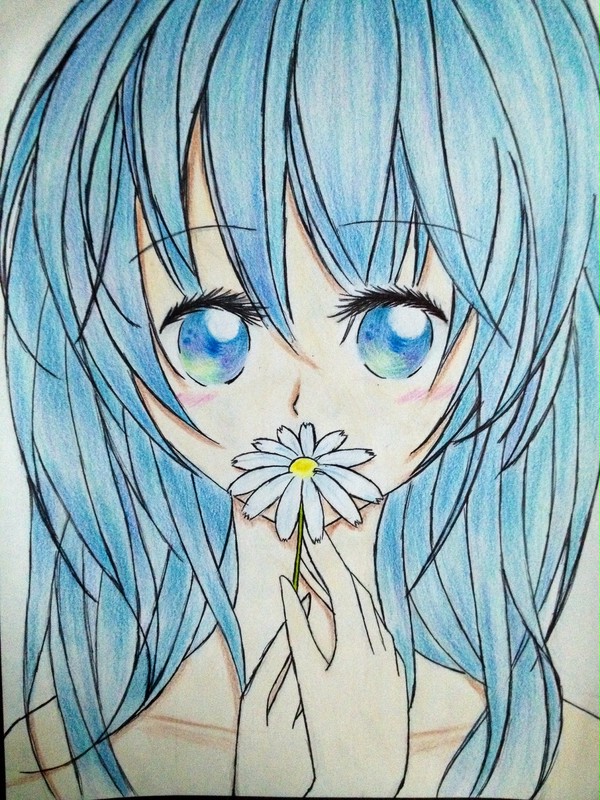 Blue daisy