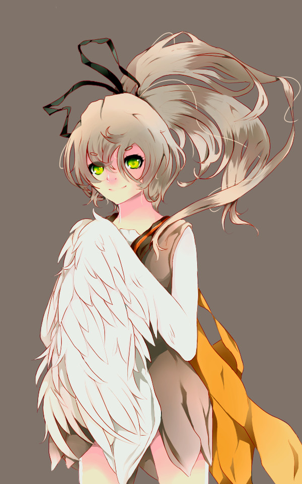 Beautifull Owl