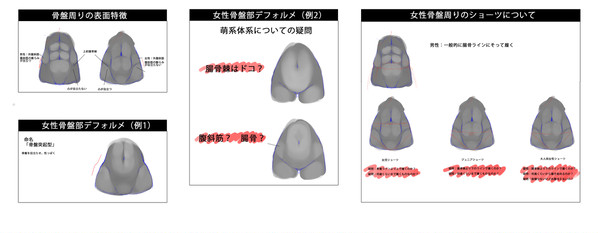 骨盤周りのデフォルメ疑問