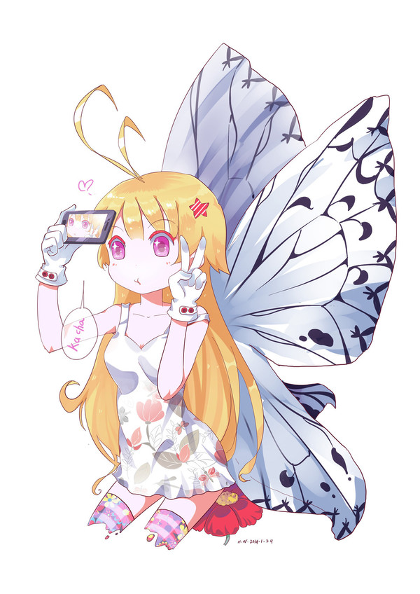 萌蝶