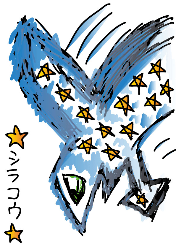 鳥