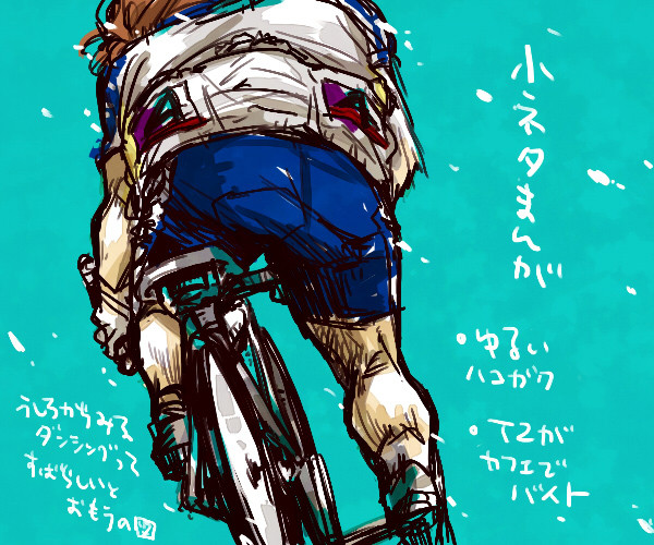 【弱ペダ】 新開さんとか箱学とかT2とか