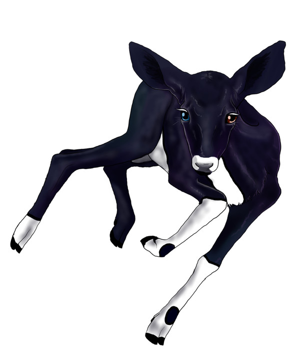 Narumi