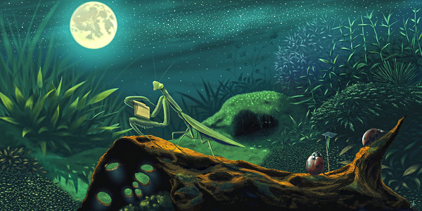 Mantis & Beetle
