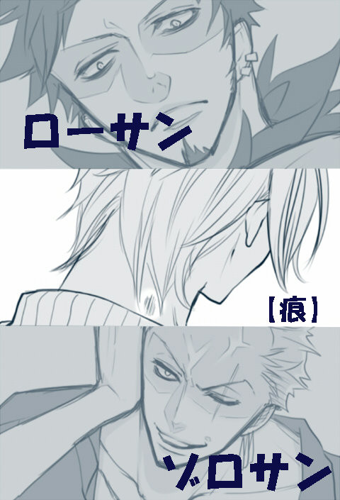 【ゾローサン注意】痕