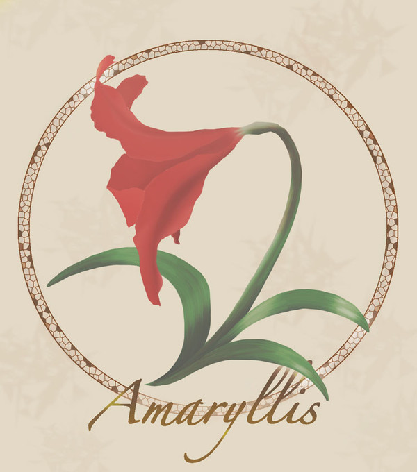 アマリリス