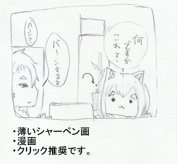 徒然なる住人がネコミミを購入したようです。