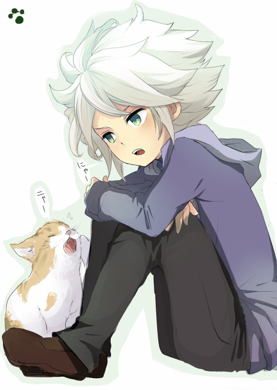 猫とガゼルさん