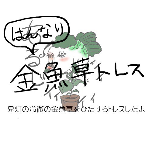 フリーダム金魚草