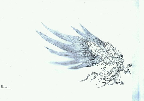 Phoenix