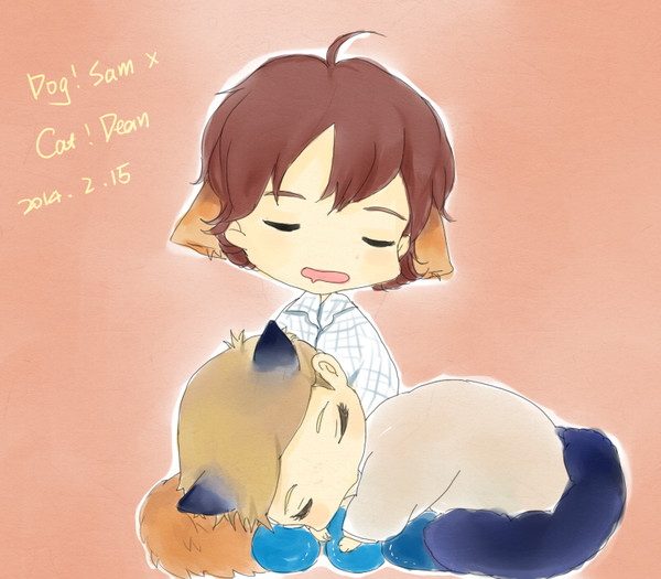 SD dog ＆cat