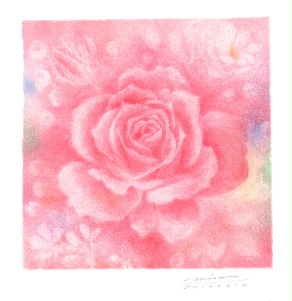 魔法に使う薔薇