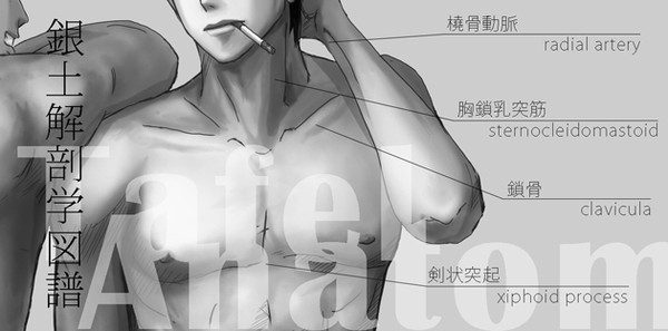 【プチアンソロ告知】銀土解剖学図譜【SCC23】