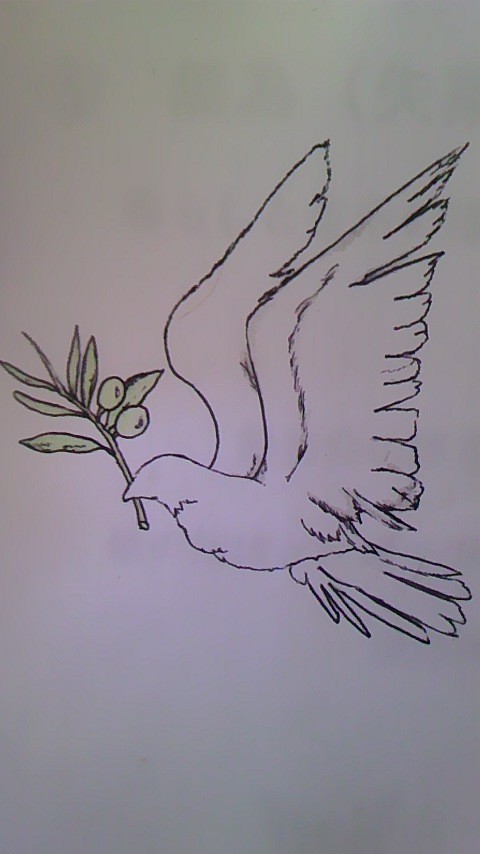 鳩とオリーブ