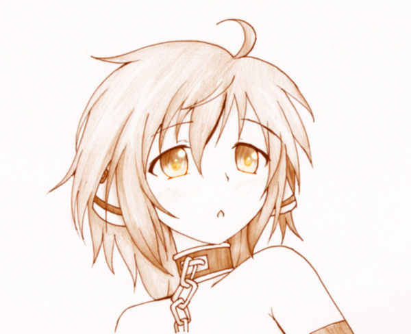 [17/2/2014] イカロス