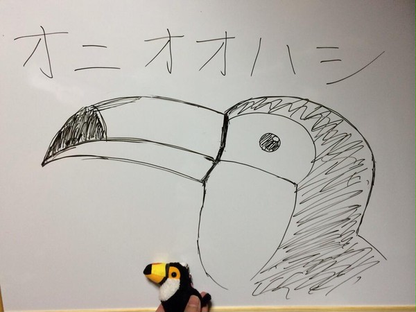 オニオオハシ！！
