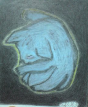 クマの冬眠