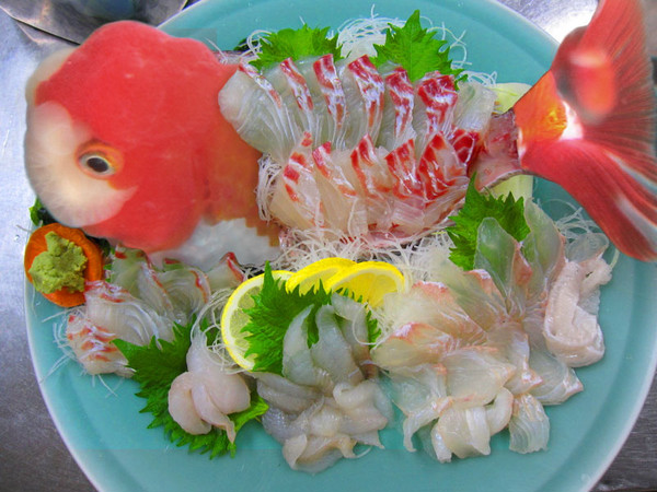 金魚草のお造り