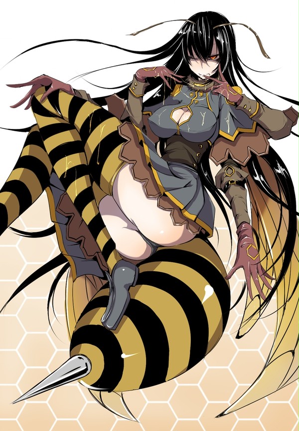 Q-Insect