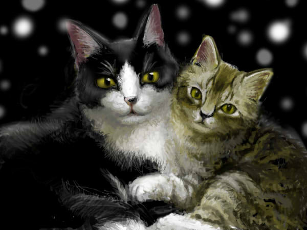 猫さま