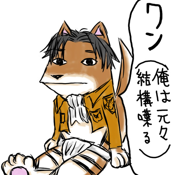 犬