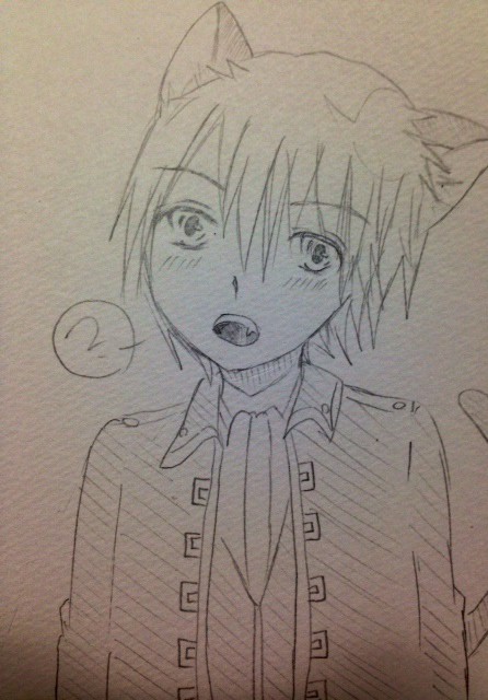 ネコの日だにゃー