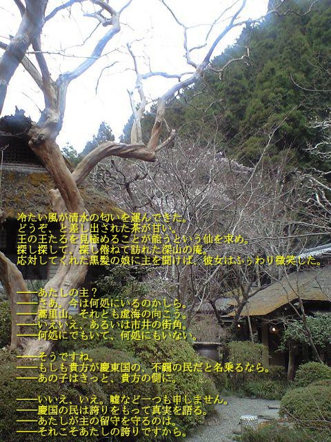 【十二国記】桜守