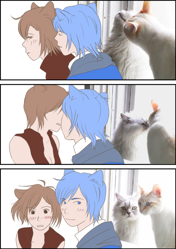 猫の日。