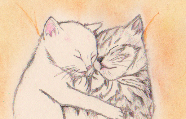 ねこの日！！