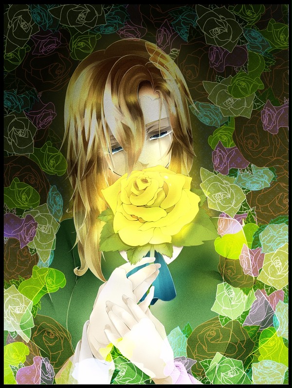 「こんな薔薇じゃ、