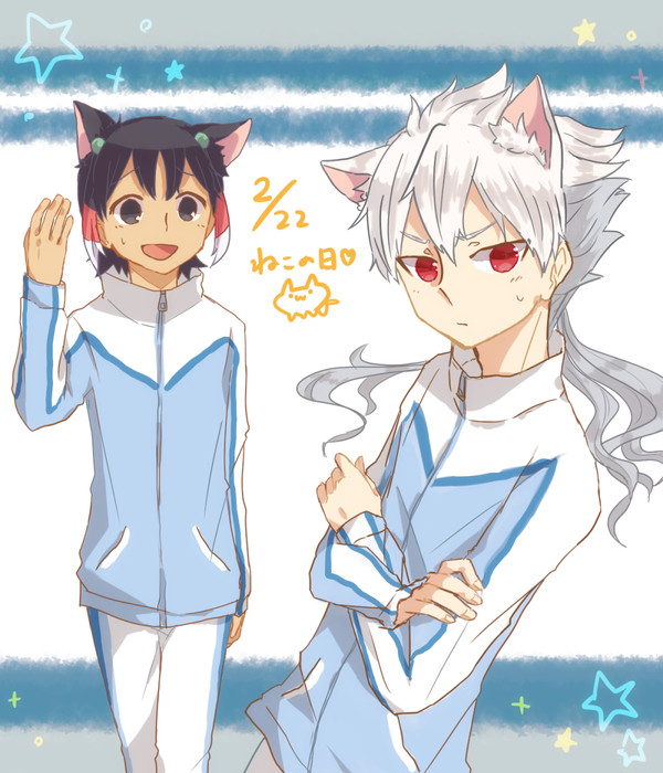 ねこの日