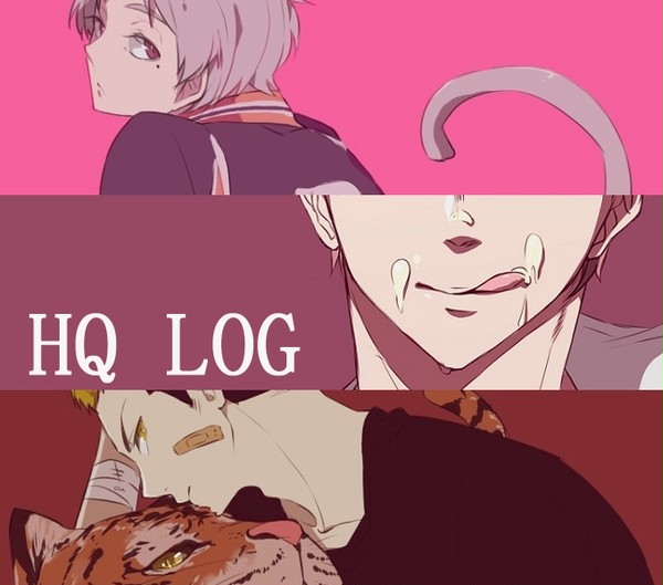 HQ log