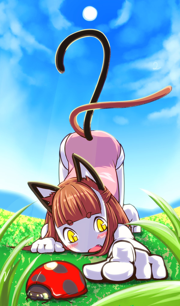 ねこまたてんと