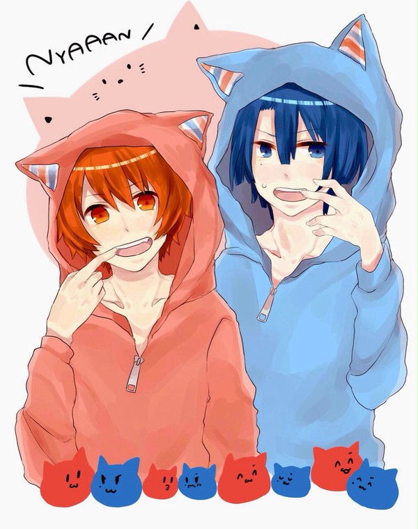 猫の日期間