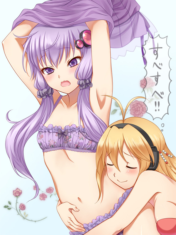 貧乳のブラ