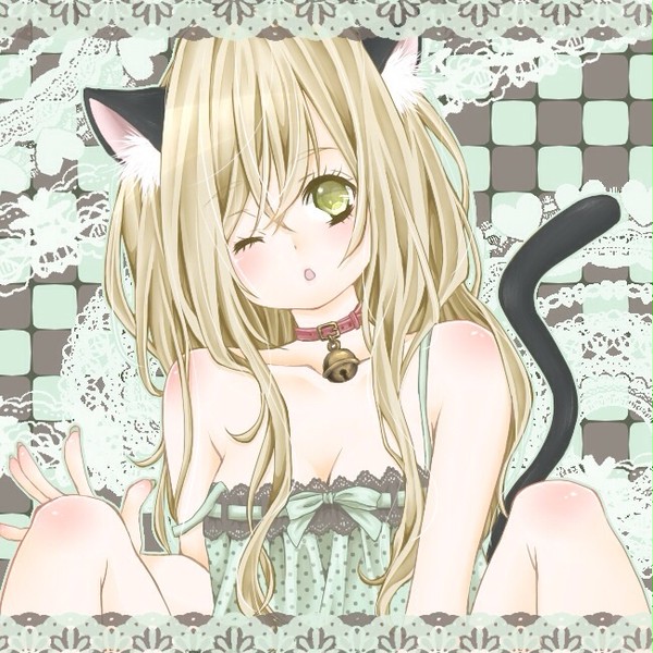 ねこねこ。