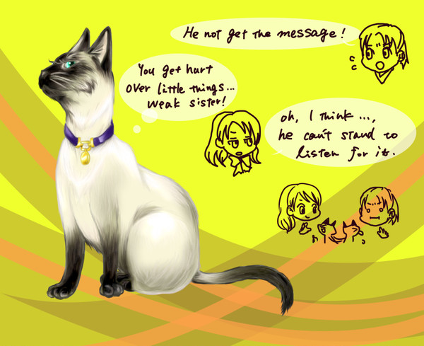 【練習】シャム猫
