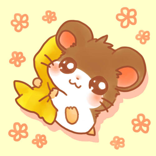 うきゅー