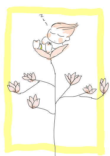 木蓮