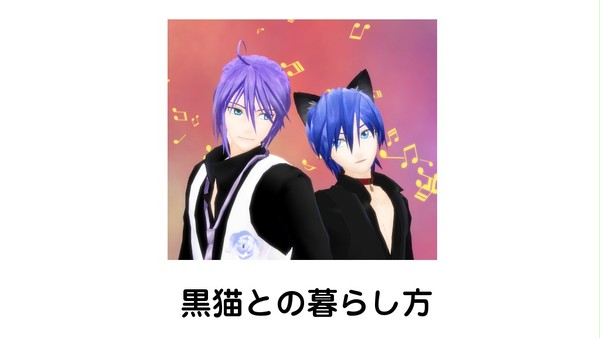 黒猫との暮らし方