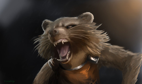 Rocket Racoon