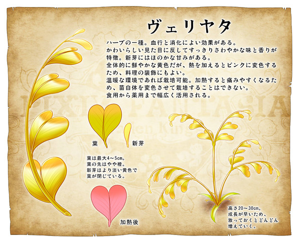 【PFFK】ヴェリヤタ【植物】