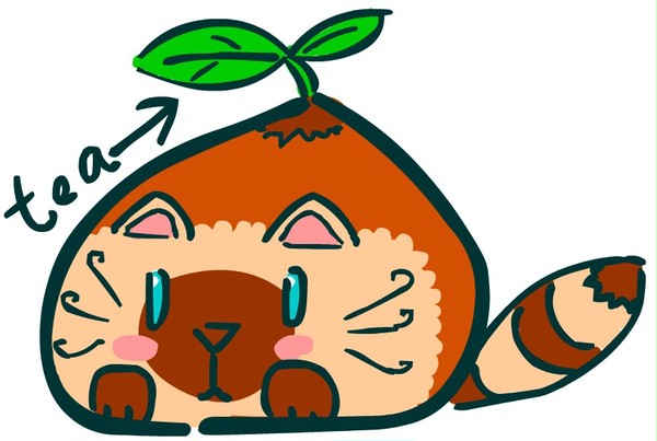 茶喵种子形态