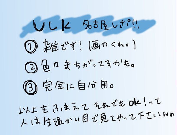 裏留守華音名古屋レポ