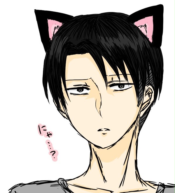 猫リヴァイ