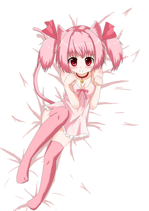 猫耳子