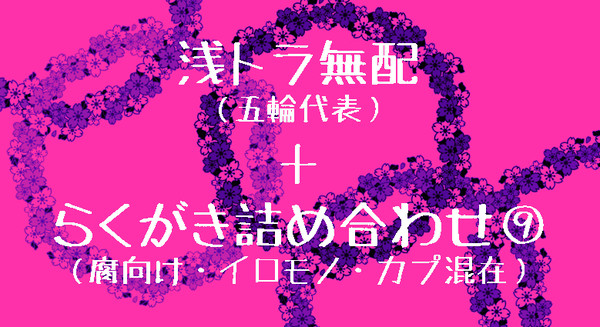 浅トラ無配＋らくがき詰め合わせ９