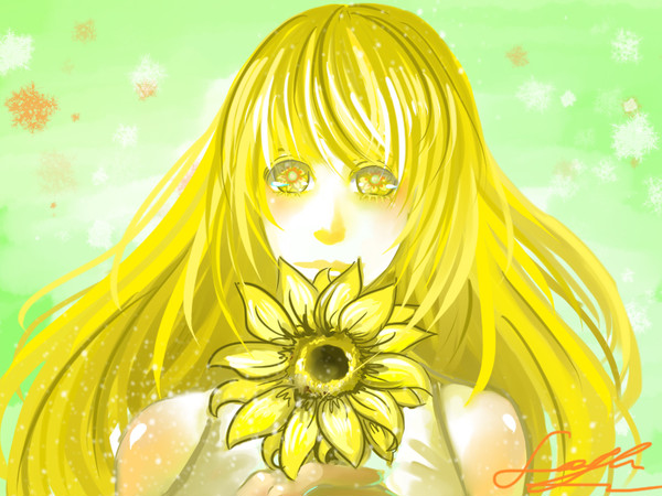 希望太陽花