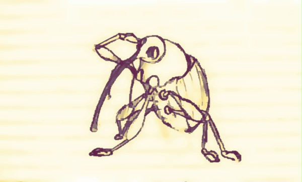 ゾウムシ
